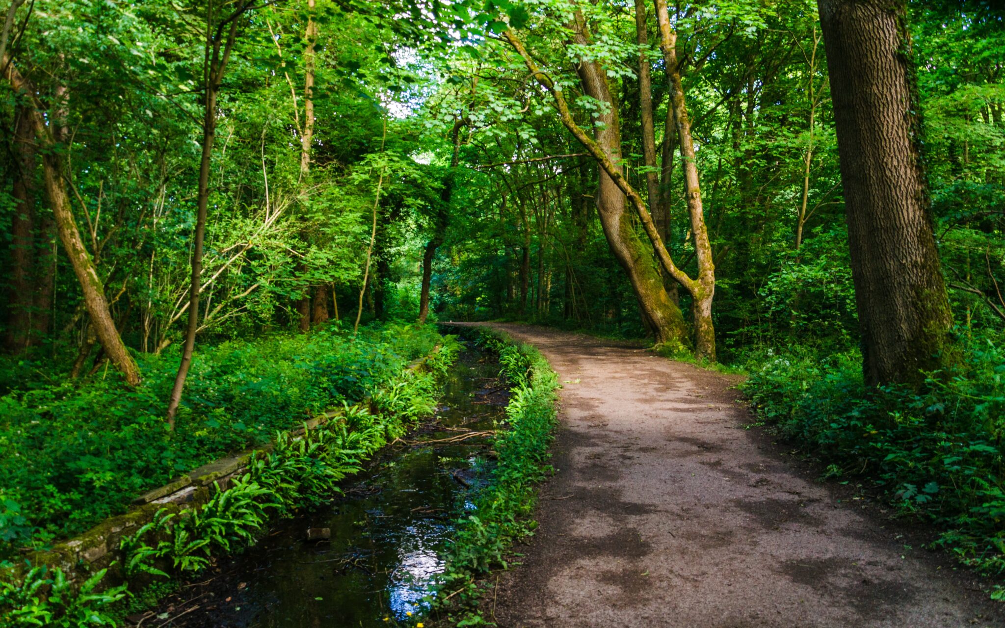 shane-rounce-uoItNLrScY0-unsplash
